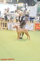 F260101-454